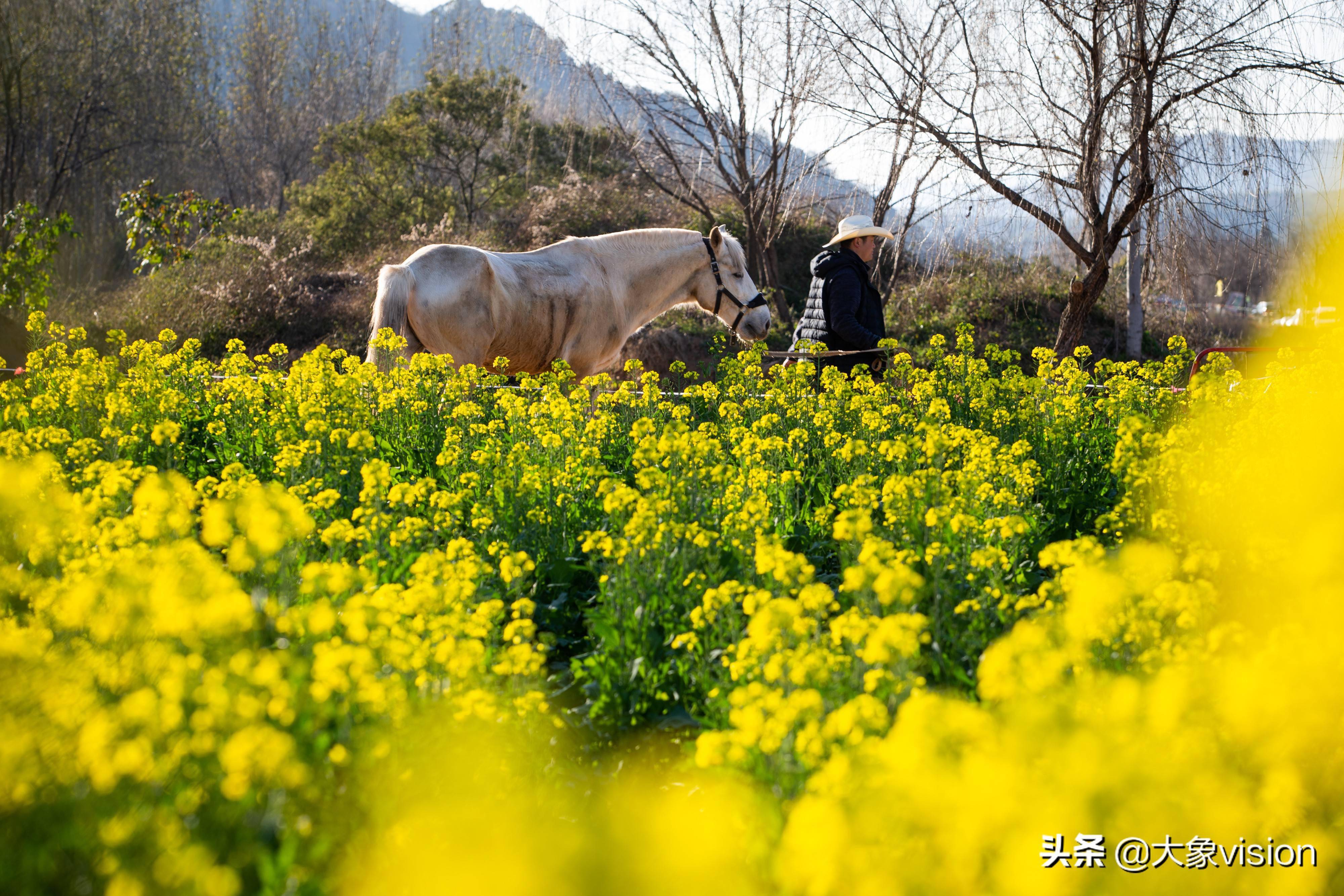 安宁牧羊湖风景区图片