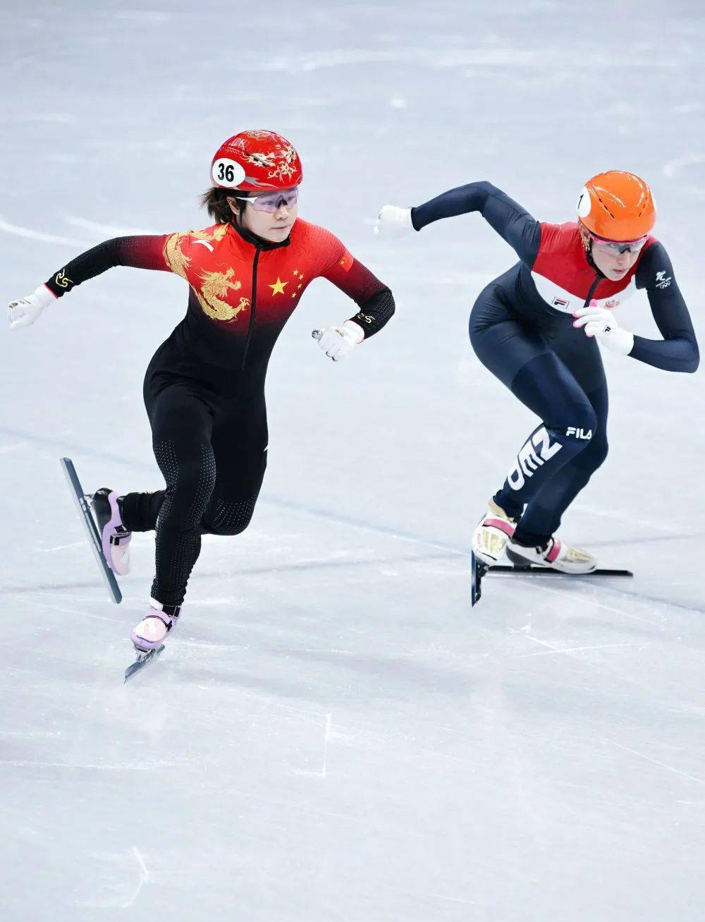 短道速滑中国再冲金冬奥今日看点