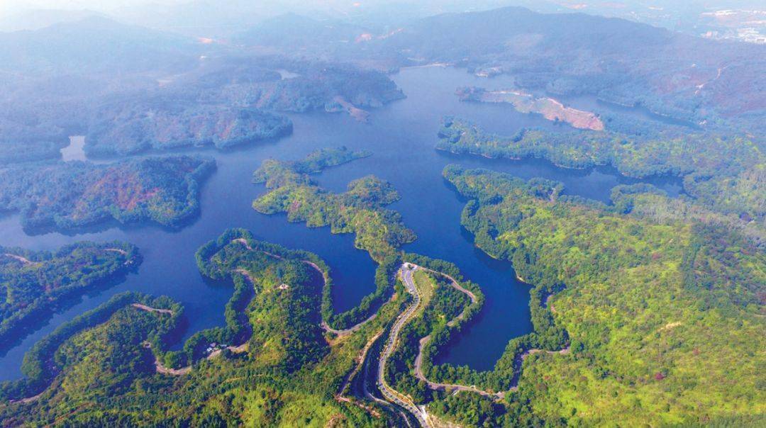 城市_西子湖畔_生态