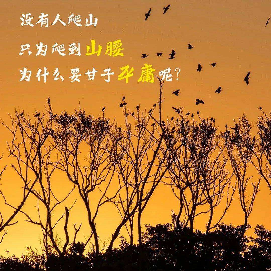 好书推荐|微观世界之 《余温如诉》_张弛_纪事_水仙