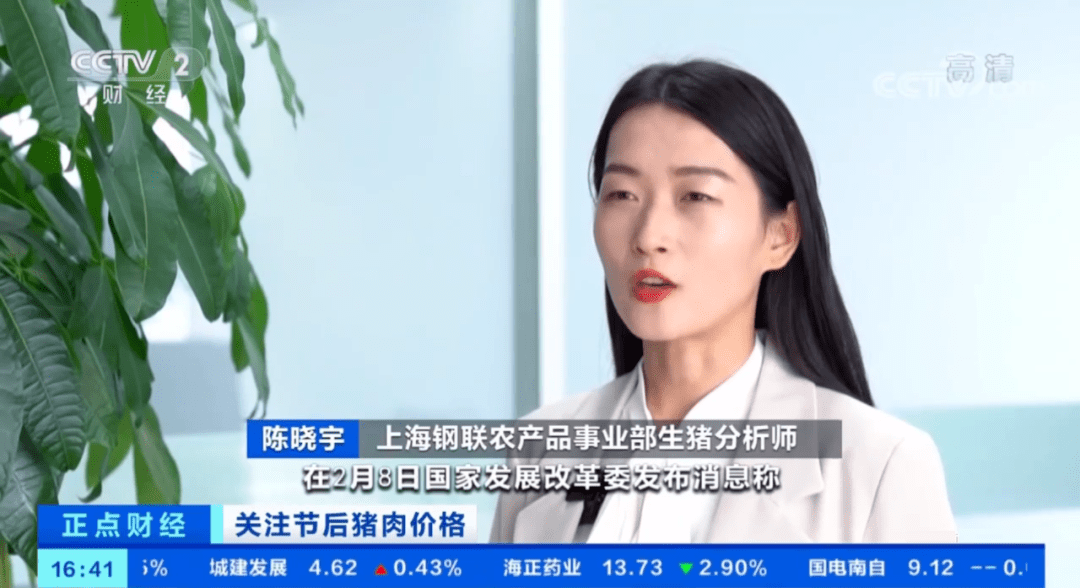 上海钢联农产品分析师陈晓宇受邀接受cctv2财经频道采访_生猪_养殖