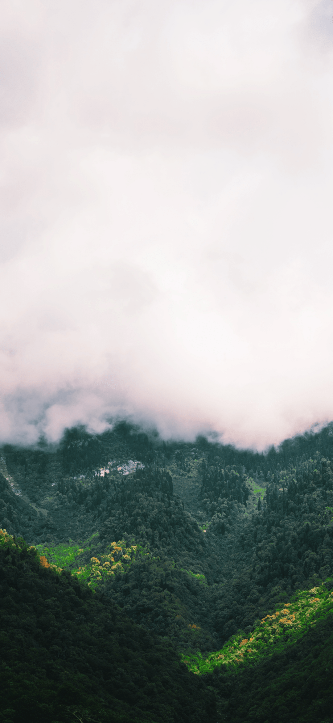 ce7f2e4fdce6423db791d1a75b709d4a.png