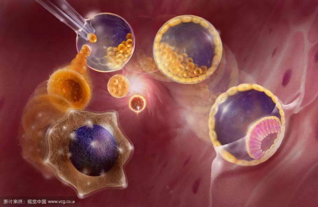 中国富人远赴乌克兰续命号称打一针就能变年轻贫穷限制了我的想象力