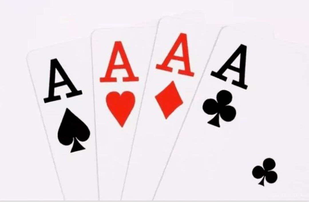 重磅白沙象湖东侧4个a大项目官宣投资约30亿争取年内开工