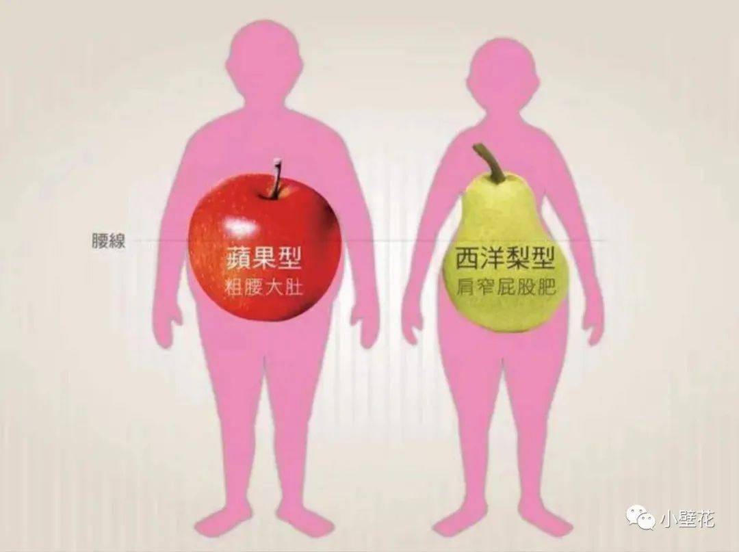 内脏脂肪和皮下脂肪都在标准范围内的下肢脂肪多一点也没关系啦,可以