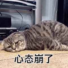 9927a410f59c4dd397d1d2e27fad2e26.png