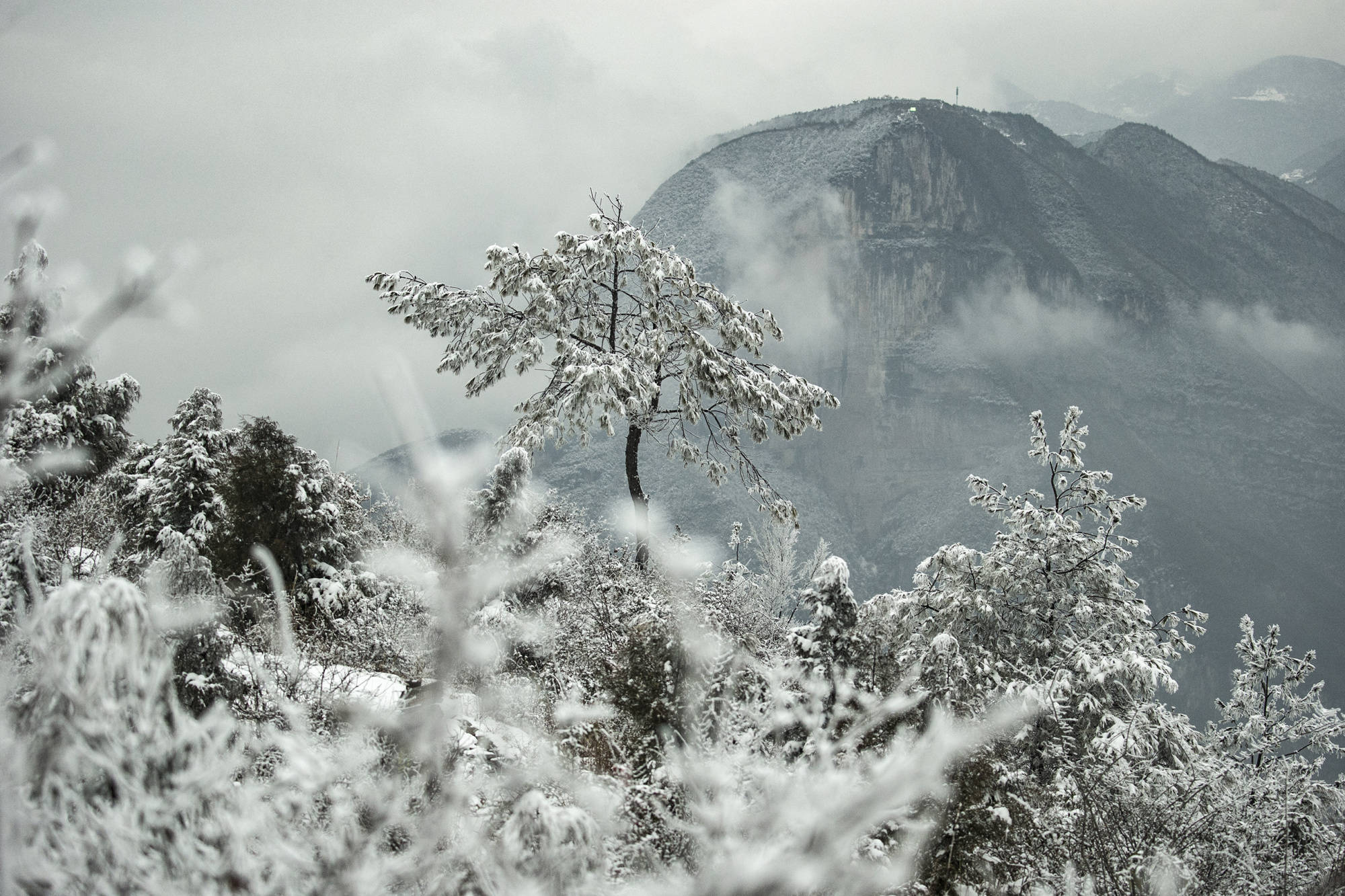 长江三峡迎春雪 壮丽雪景别有韵味_王泓凯_刁尹_王正坤