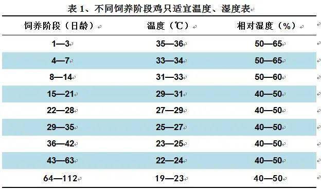 笼养肉鸡通风管理表图片