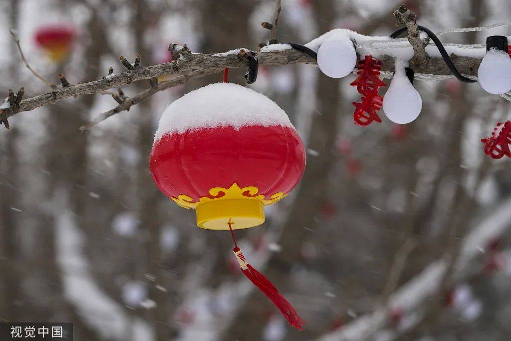 虎年北京第一場雪冰墩墩也去故宮拍照啦