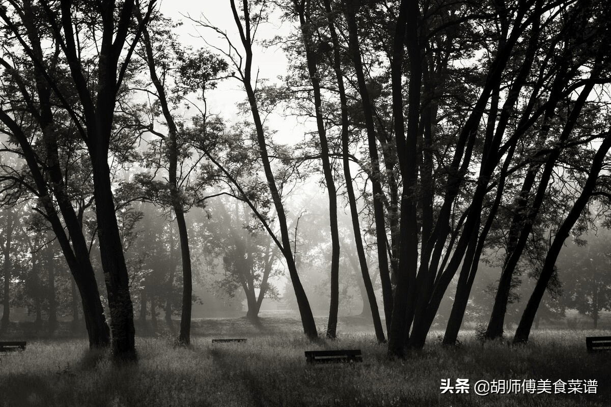 明天元宵节无论贫富牢记1吃2做3忌寓意新年诸事顺利