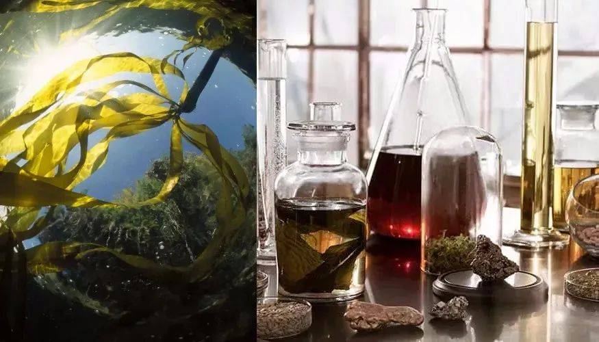 投资海蓝之谜正品5折价抢疯！补水、淡纹、修护，让你重回婴儿肌