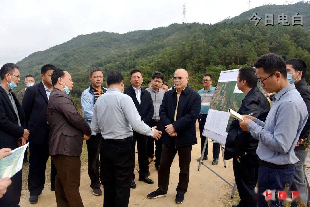 区领导黎凯晟,吴伟华,陈立文及有关单位,镇,村领导参加调研.