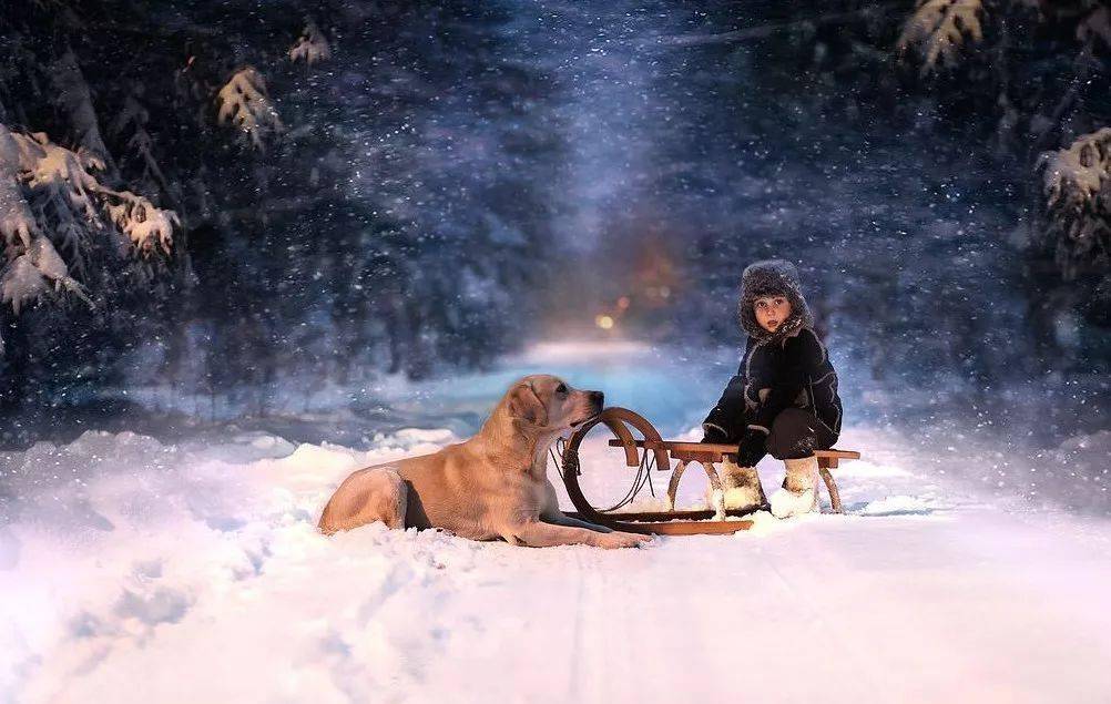 梦回往昔，探访逝去的母亲——一场关于思念与释怀的梦境之旅