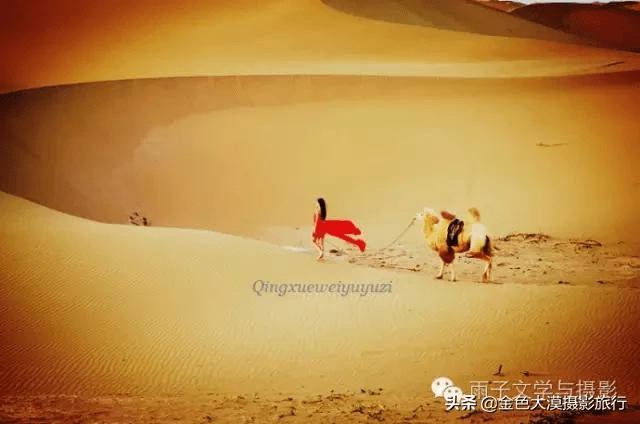 陆雨子西征西征10阿拉善大漠公主夕阳驼影