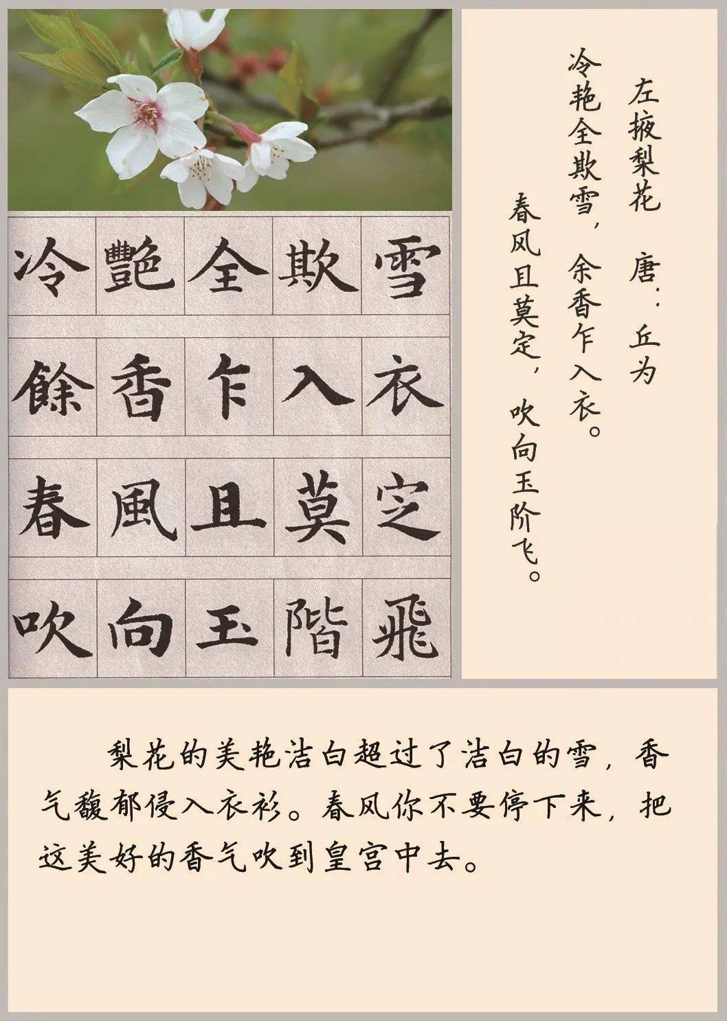 每日一诗左掖梨花丘为1500