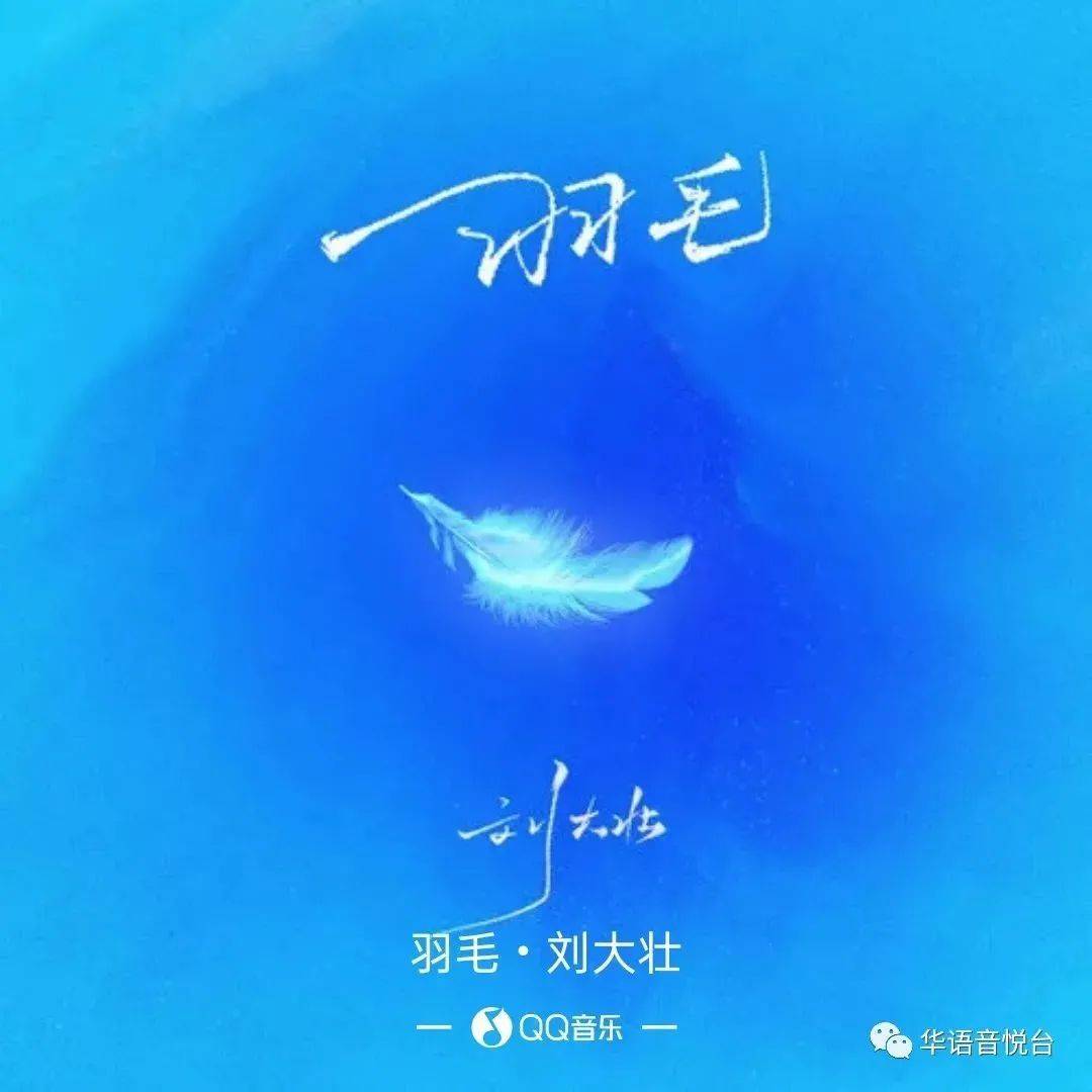 【新歌推荐】刘大壮 -《羽毛》_匠心_音乐_芮英杰