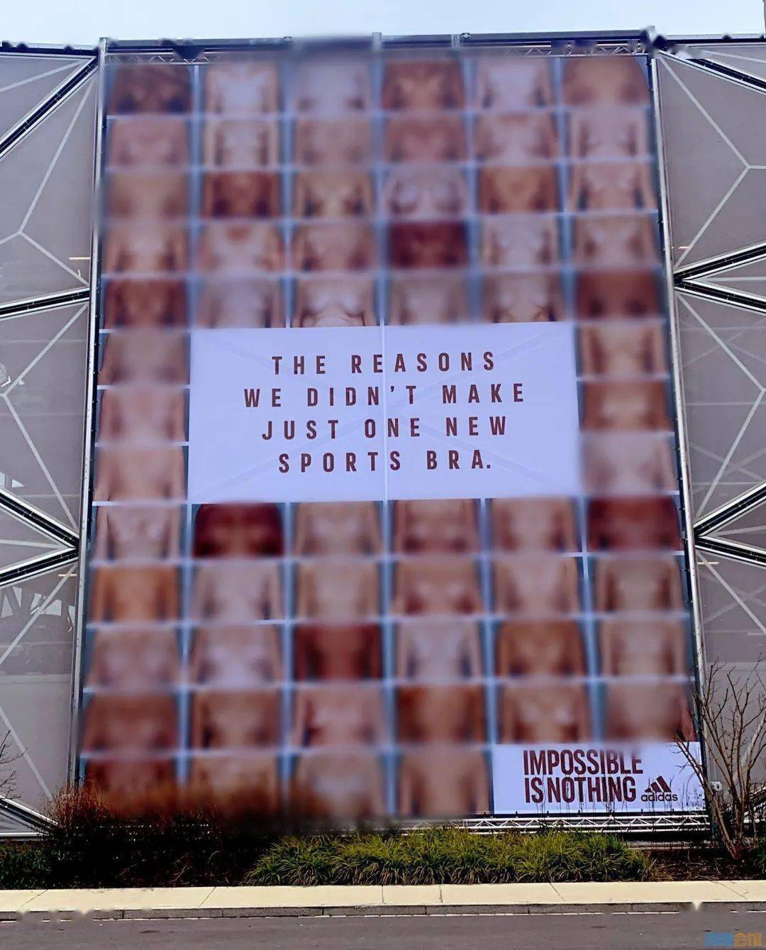 bsport体育阿迪达斯发布女性内衣户外广告引争议(图1)