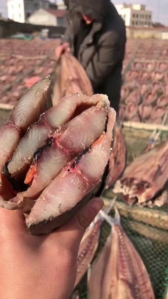 人又丑,视频拍了一年了父母不让拍了,但是我会坚持下去把鱼干麦出去