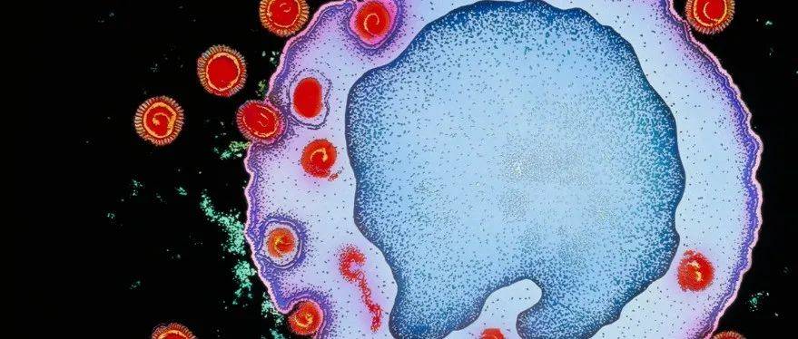 Science:HIV变异毒株已出现,毒力更强、更具传染性..._研究_艾滋病毒_传播
