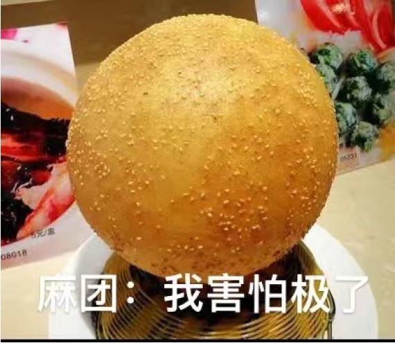 饺子|追光丨这是一场……中华美食代言大赛？