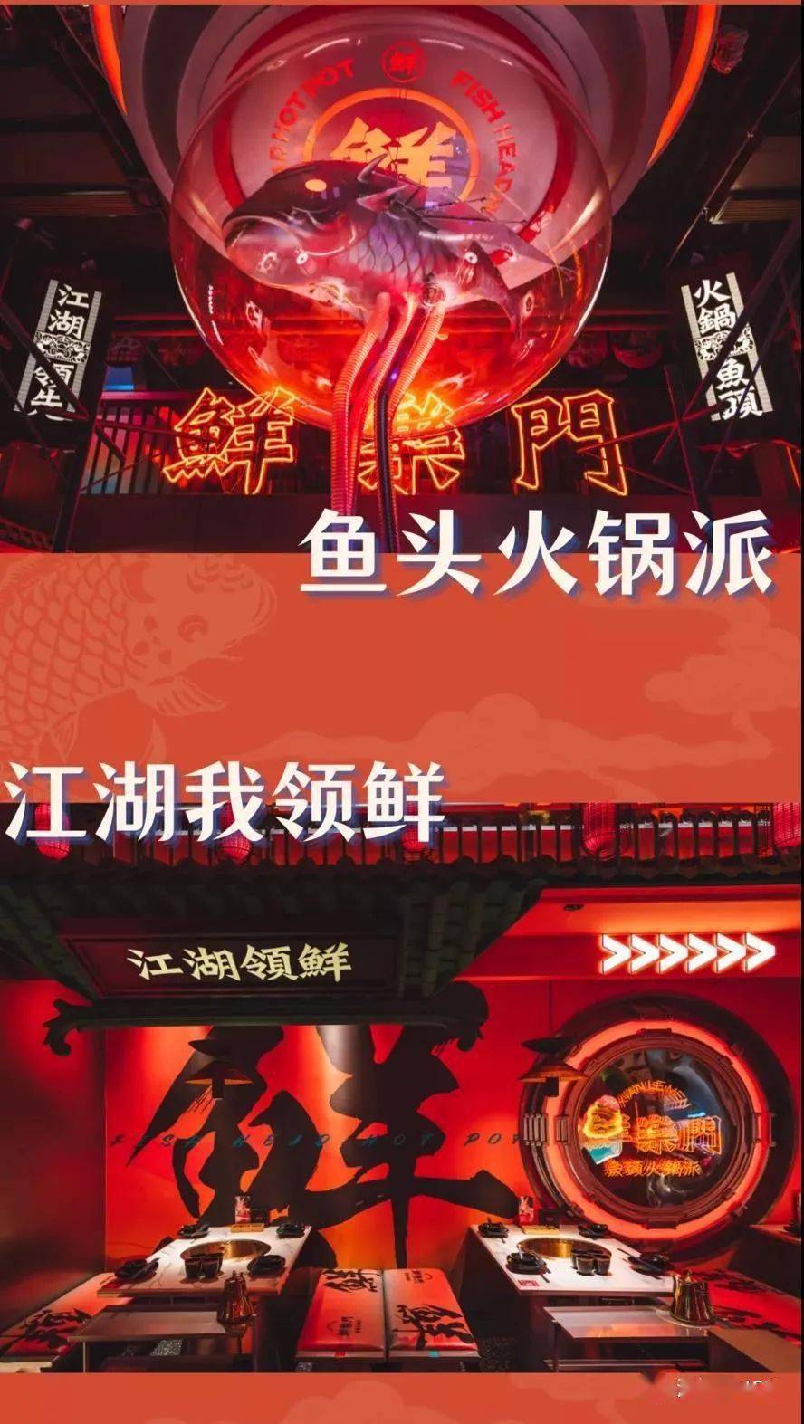 中山路鲜乐门美蛙鱼头火锅来袭99元起抢购超值套餐锅底二选一贾乃亮
