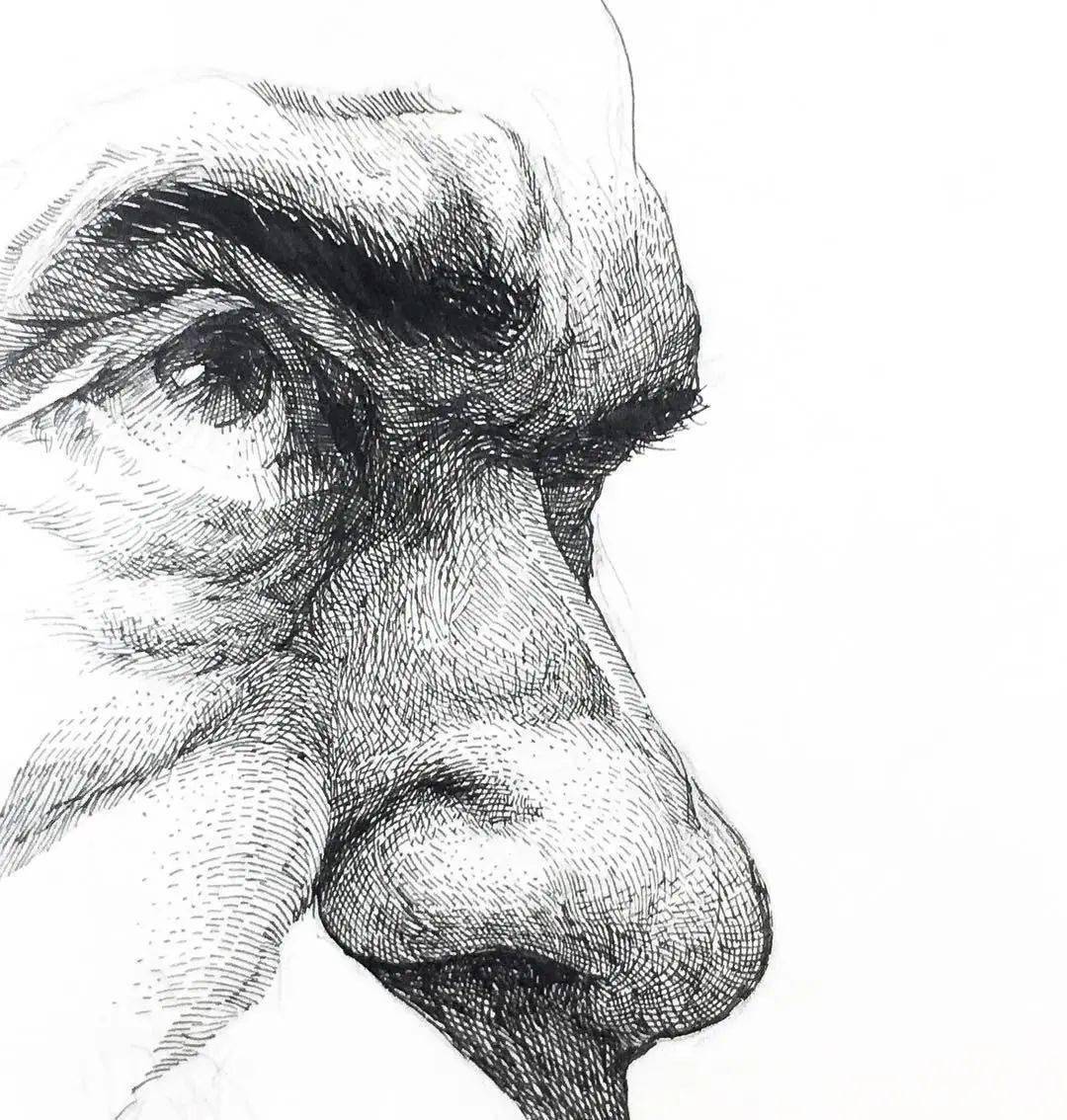 清晰的线条,必看的"排线几种表现方式_dunn_绘画_美国