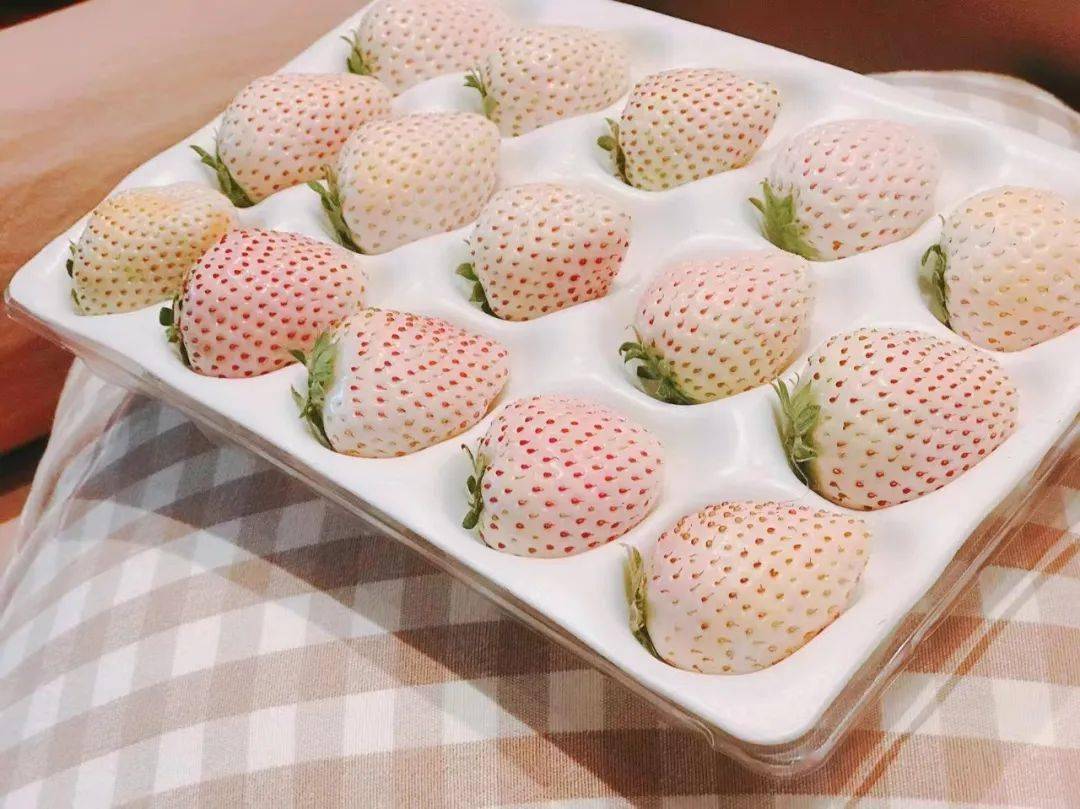 淡雪草莓顺丰空运138元2盒日本奈良种源白嫩剔透颗颗香甜的淡雪草莓