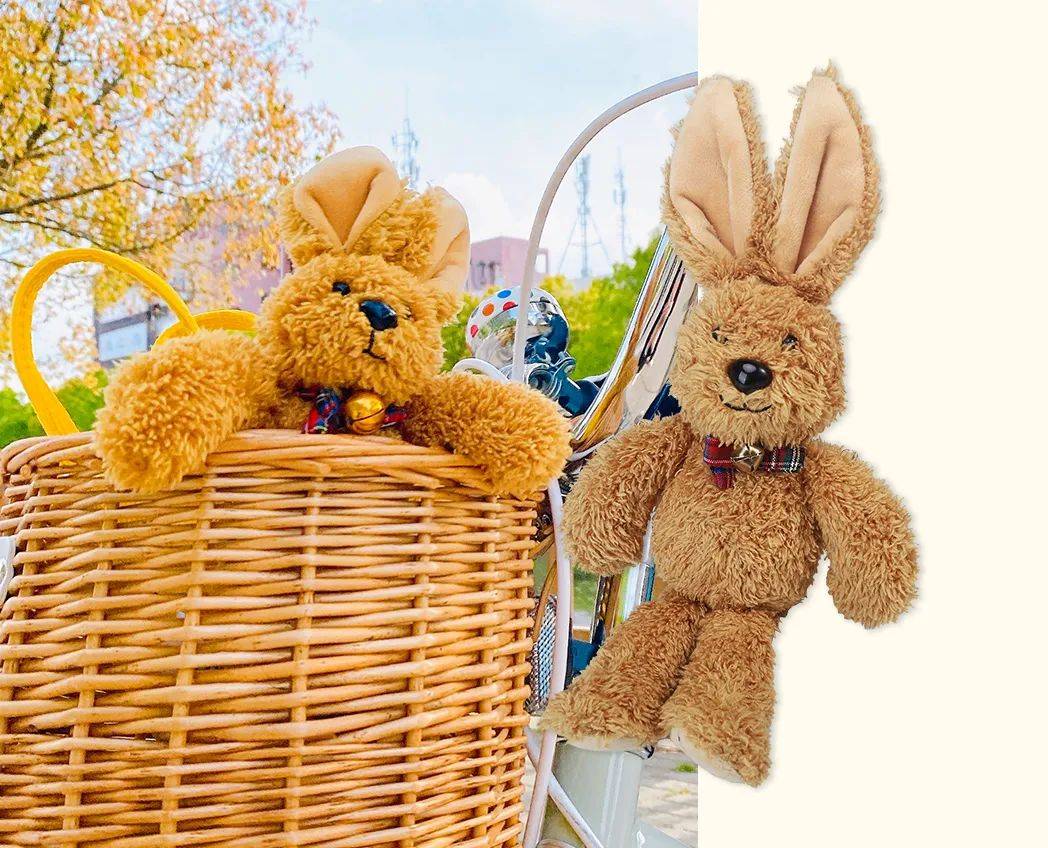 小朋友|【童书】无法出门，也可以带孩子看看世界的样子，还有小兔陪伴~