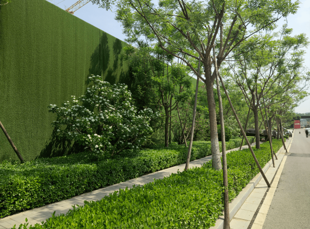 干货塞缝植物绿篱收边形式的归纳分享