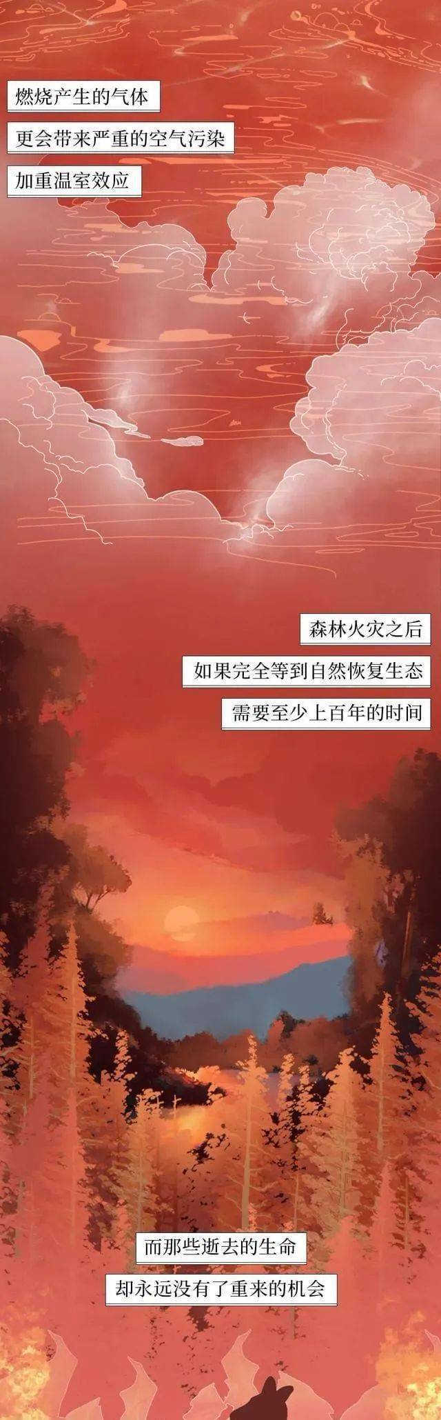 校对|森林草原防灭火丨一图搞懂森林火灾那些事