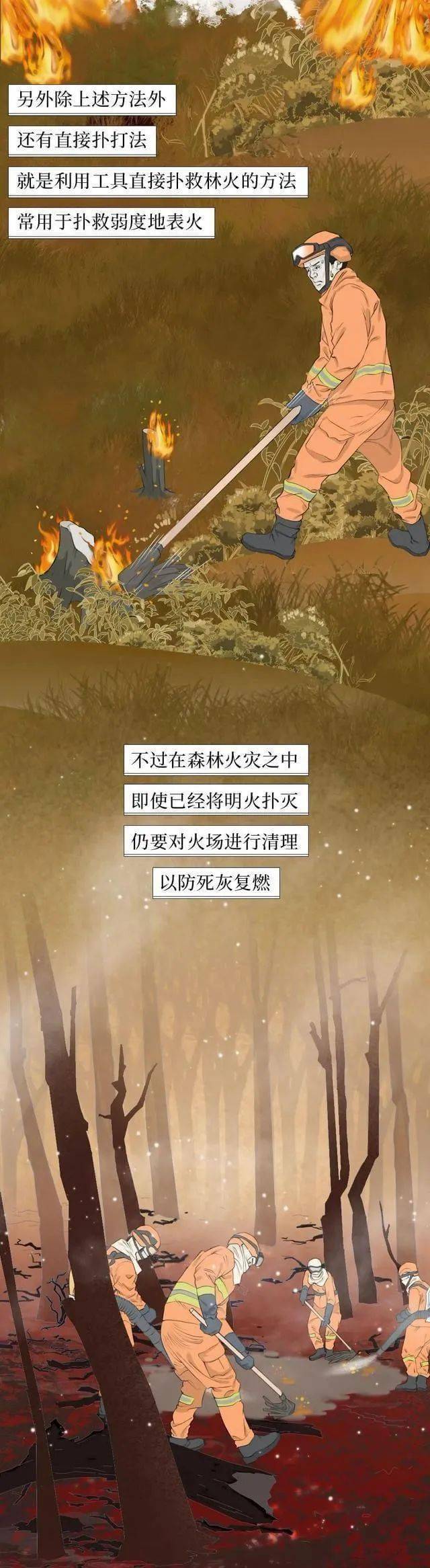 校对|森林草原防灭火丨一图搞懂森林火灾那些事