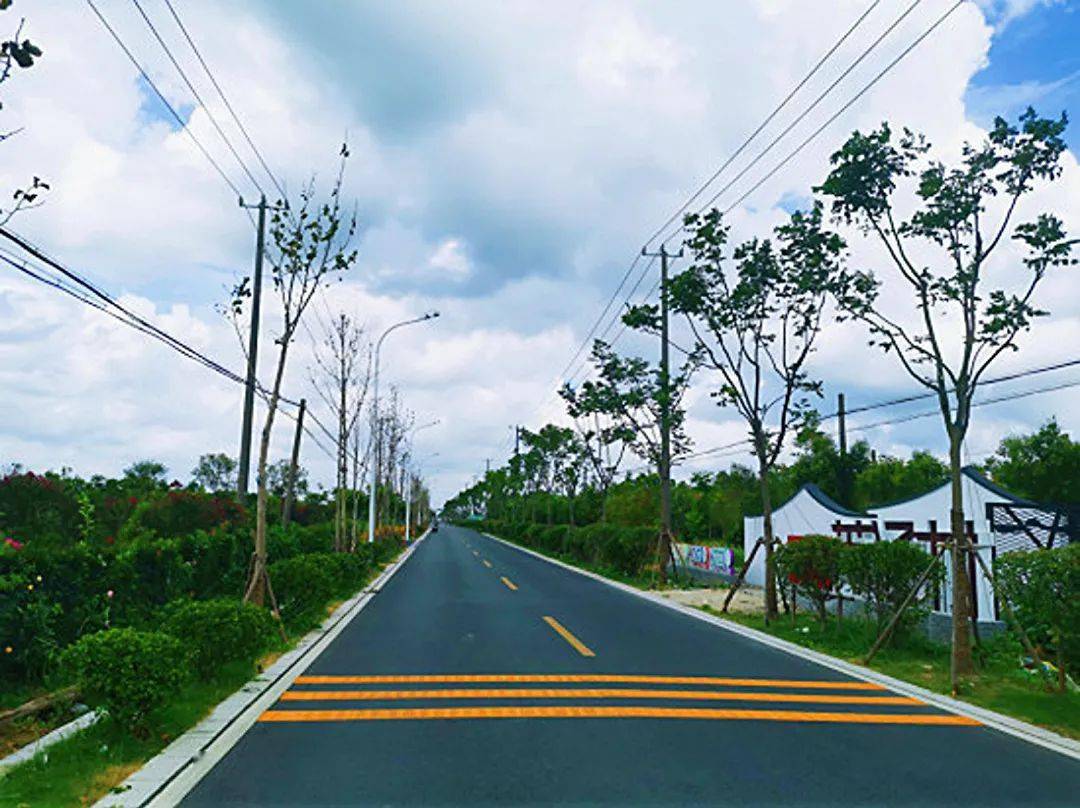 奉贤区2021年度文明之城美在奉贤系列创评之最美乡村路