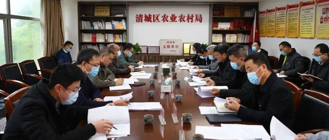 廖家杰：立足优势、做精做强，着力打造具有清城特色的农业农村工作亮点_乡村_发展_自然村