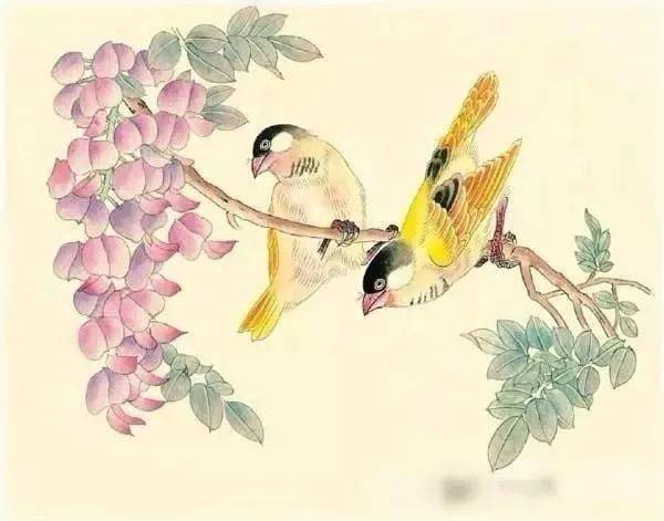 工笔画芙蓉鸟的绘画入门步骤详解