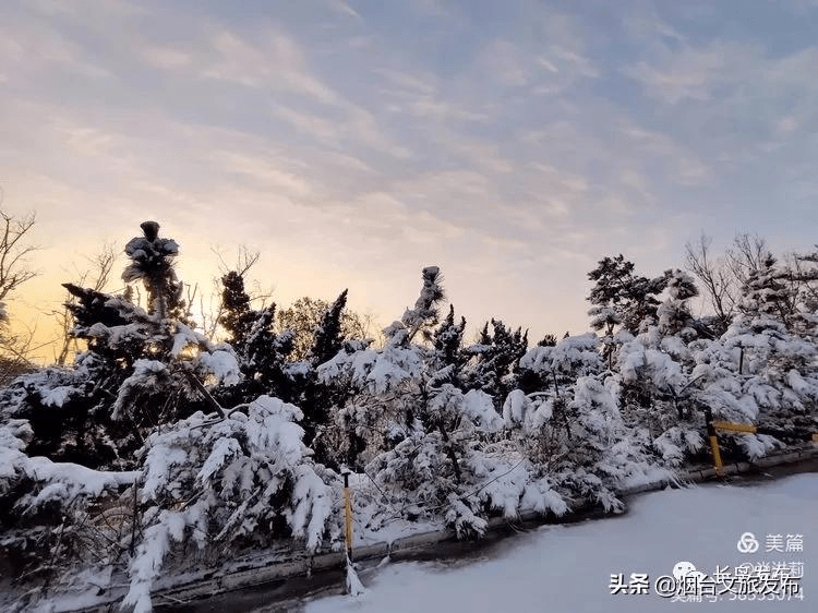 吴昆|雪落长岛 芳华刹那