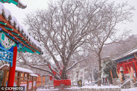 雪景|山东荣成：雪润伟德山