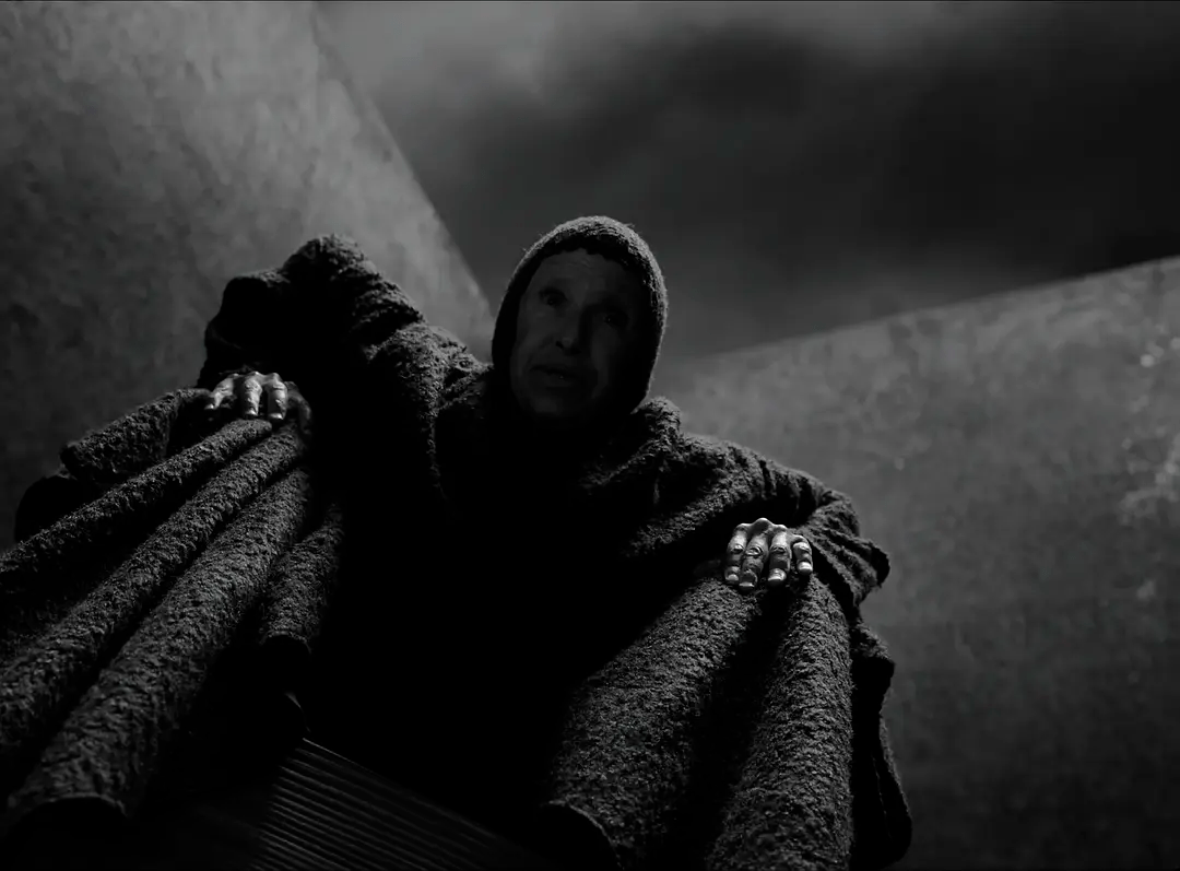 兄弟|单飞的科恩兄弟，终究没飞起来