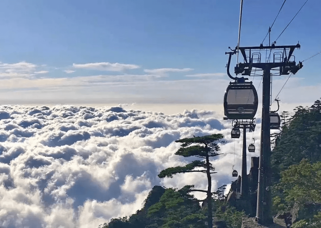 黃山又又又下雪了,沒趕上雪景的你,快來補上～_雲海_索道_景區