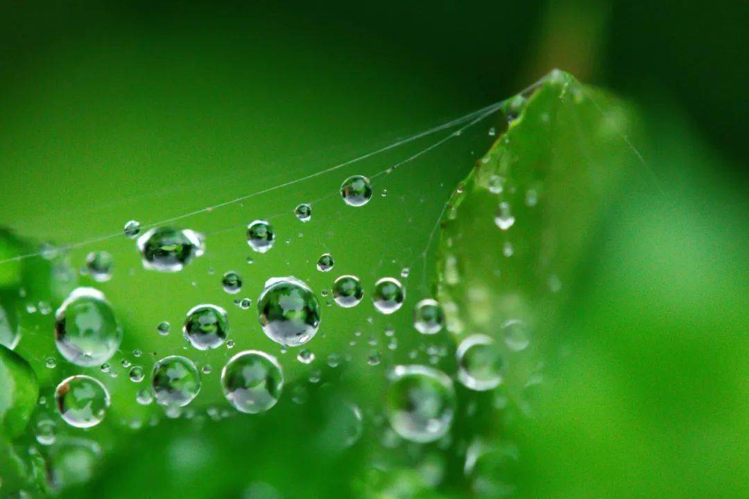 好雨知时节当春乃发生▍雨水