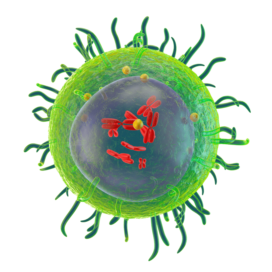 高中生物细胞的结构超清图