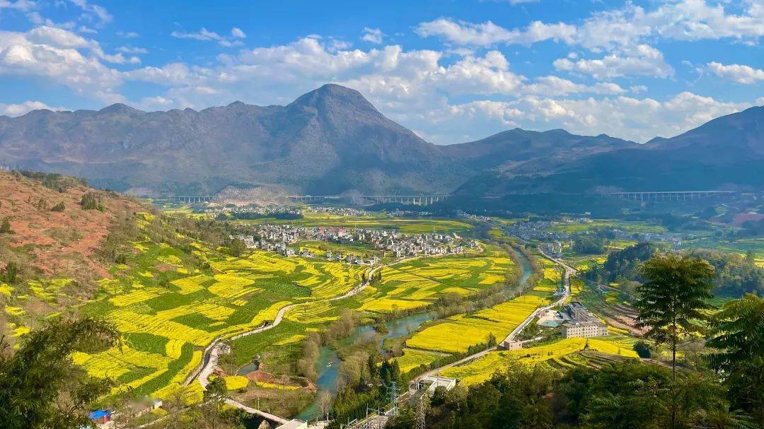 美爆了罗平这个村的油菜花藏不住了不一样的美