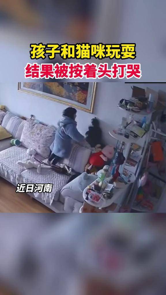 孩子和猫咪玩耍 结果被按着头打哭_猫咪_结果_孩子