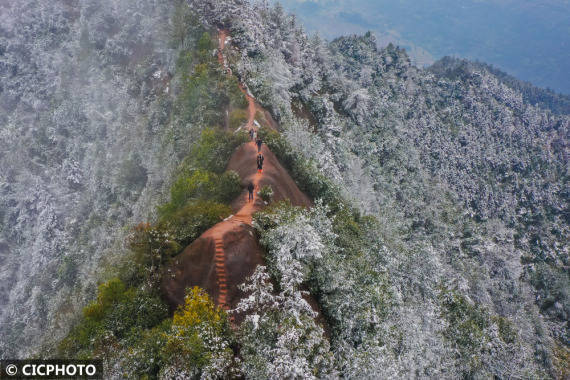 游客|飞雪迎春到