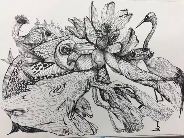 黑白针管笔手绘插画