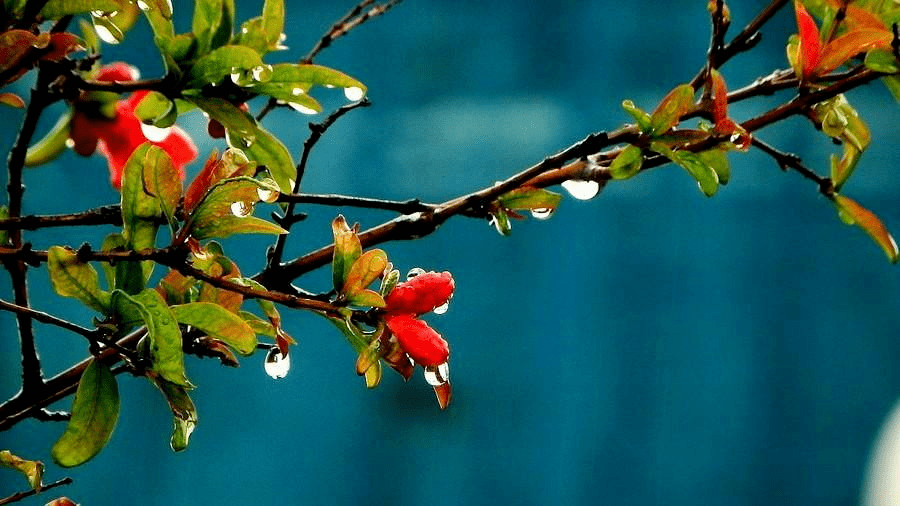 元人吴澄的著作《月令七十二候集解》中说:"正月中,天一生水,春始属木