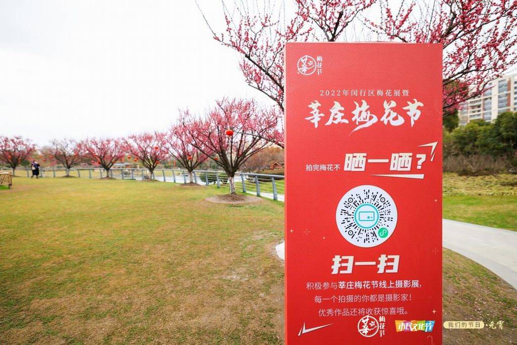 文化|梅花集市、钩针仿梅、以茶画梅，上海举办首届莘庄梅花节