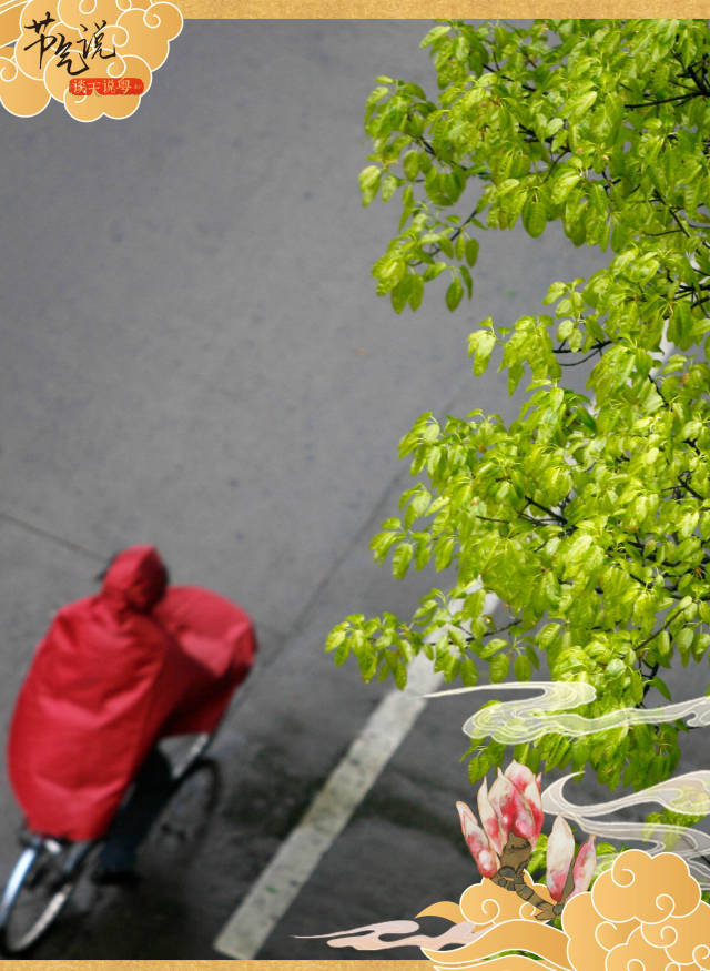 父母|太唯美，画活了！早春细雨看玉兰