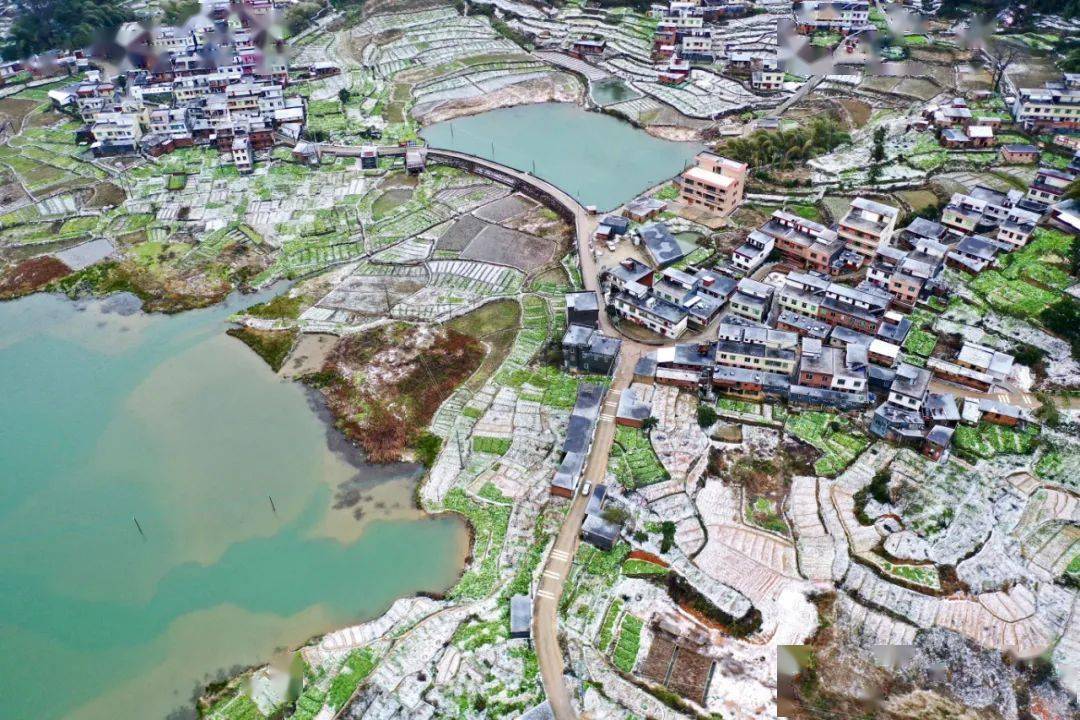 虎年瑞雪到,一起云赏连州的千里冰封_星子镇_雪景_游客