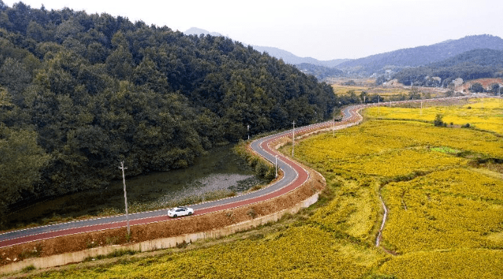 安徽枞阳村民有了彩虹路