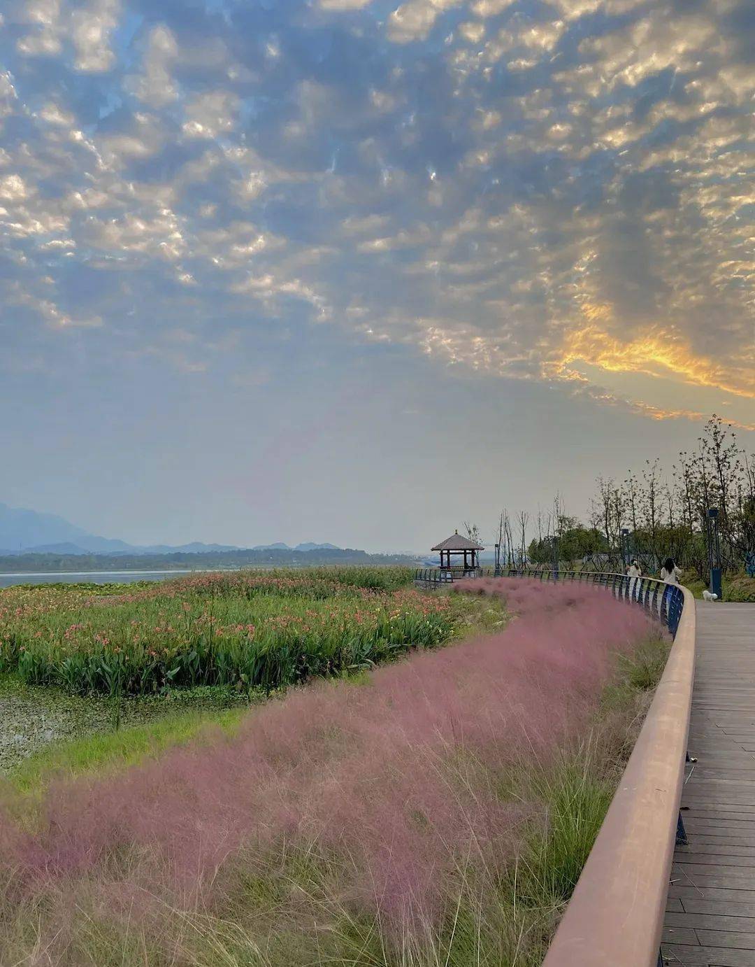 闯入浪漫油画世界——芳兰湖公园